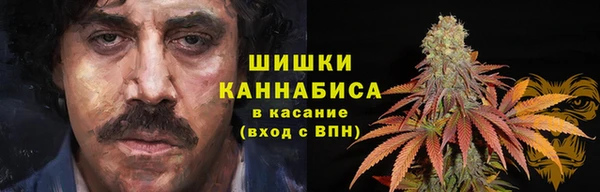дживик Мегион