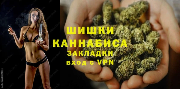 дживик Мегион