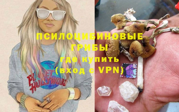 apvp Медвежьегорск