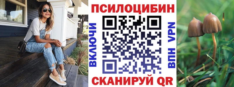 это Telegram  купить  цена  Электроугли  Псилоцибиновые грибы MAGIC MUSHROOMS 