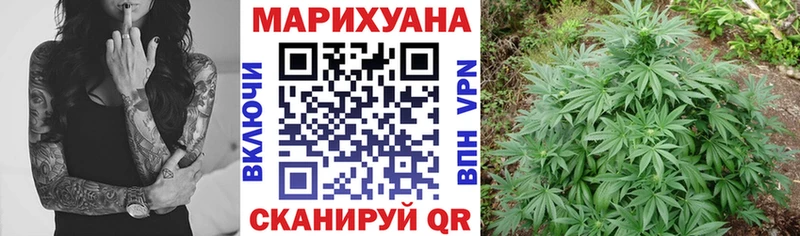 где купить наркотик  Электроугли  Шишки марихуана ГИДРОПОН 